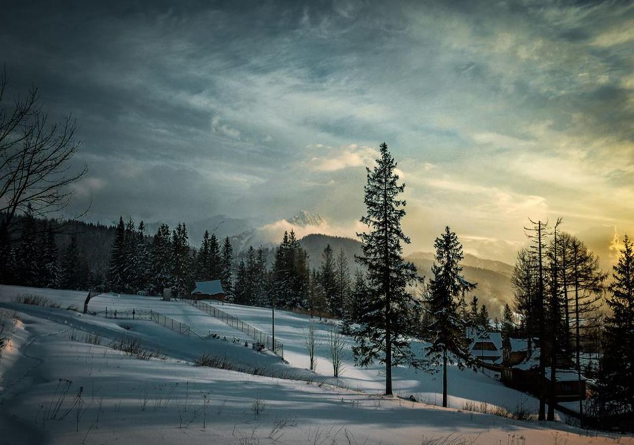 Toporowa Cyrhla Apartment Zakopane